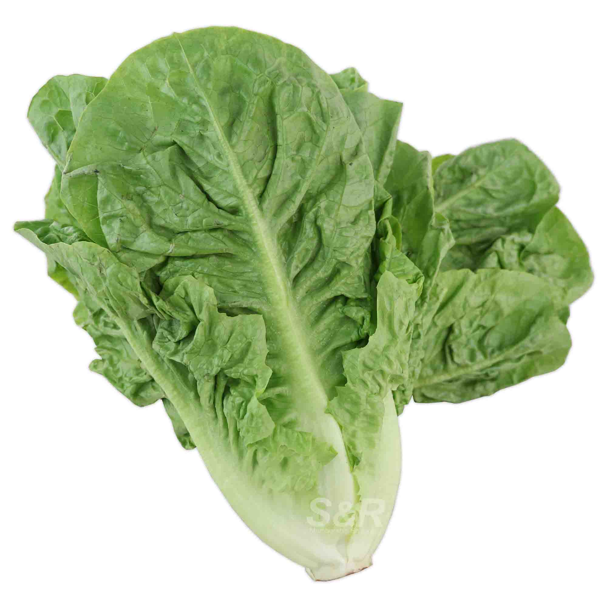 Organic Romaine Lettuce approx. 1.2kg Organic Romaine Lettuce approx. 1.2kg